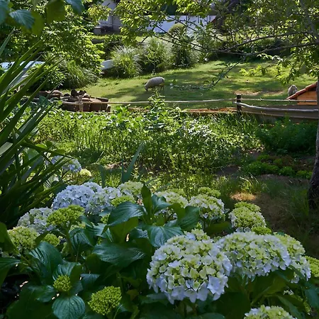 Sky House By Everkind Farm stay *